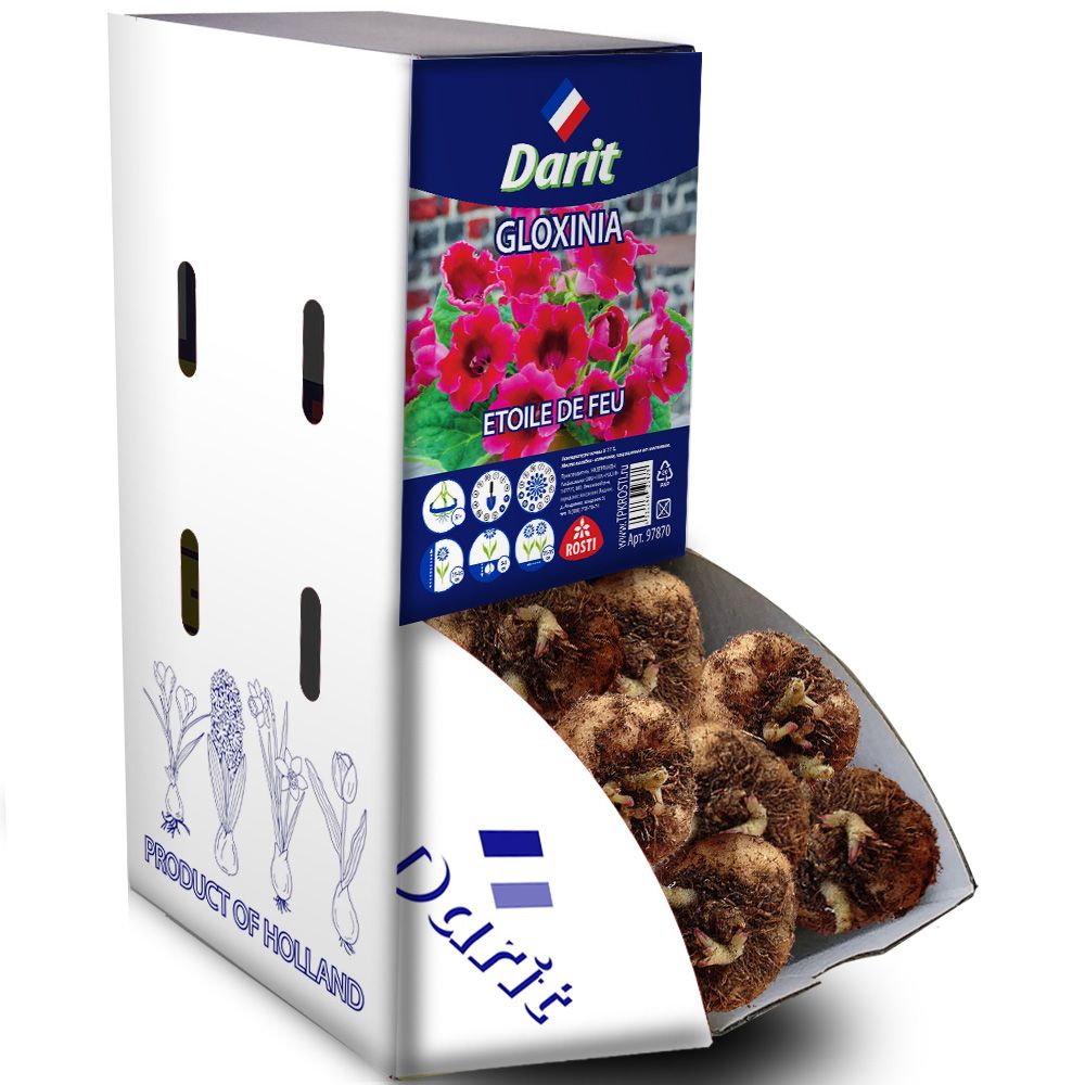 Глоксиния Огненная звезда Gloxinia Etoile de Feu 5/+, Darit Рекбокс 50шт
