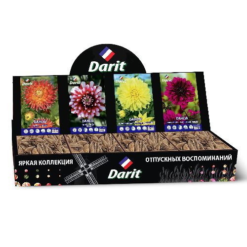 Шоубокс 243 ГЕОРГИНА Darit, 4 вида по 7 шт