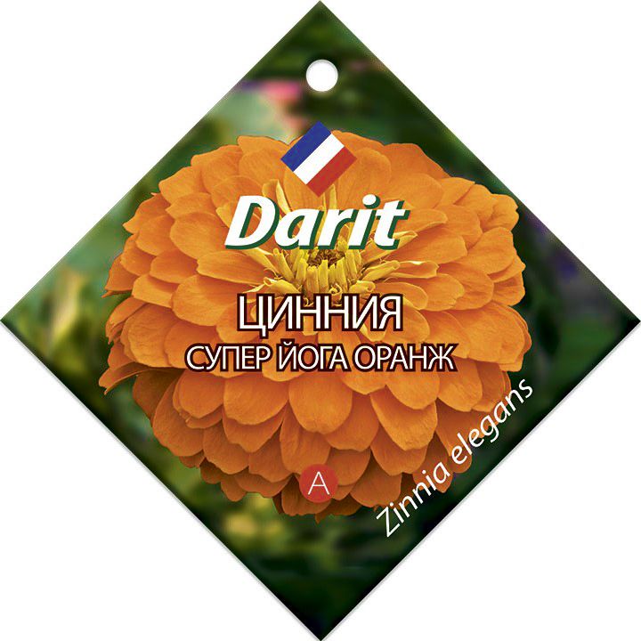 Цинния Супер Йога Оранж, семена Дарит 0,5г (250)