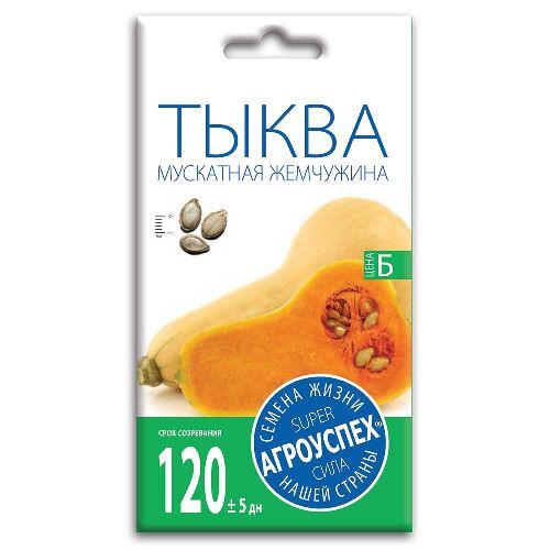 Тыква мускатная Жемчужина, семена Агроуспех 1,5г (150)