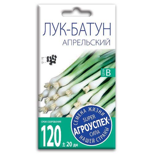 Лук-батун Апрельский, семена Агроуспех 0,5г (200)