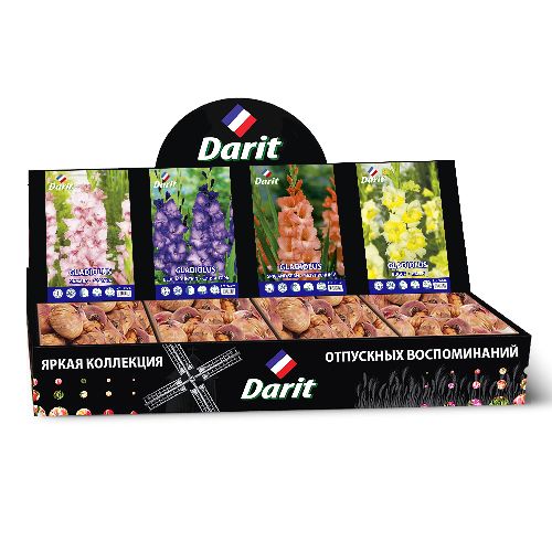 Шоубокс 248 ГЛАДИОЛУСЫ Darit, 4 вида по 35 шт