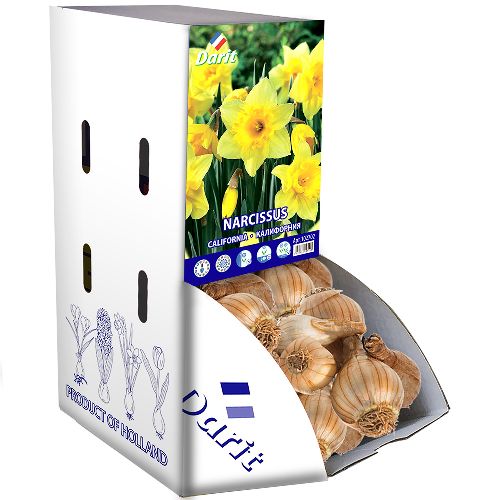 Рекбокс Нарцисс крупнокорончатый Калифорния/ Narcissus Large crown California 10-12, Darit 50 шт/уп
