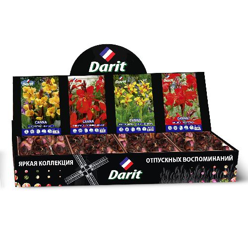 Шоубокс 197 КАННЫ Darit, 4 вида по 10 шт
