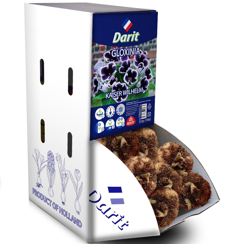 Глоксиния Кайзер Вильгельм Gloxinia Kaiser Wilhelm 5/+, Darit Рекбокс 50шт