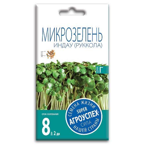 Салат индау (рукола), семена Агроуспех Микрозелень (для подоконника) 3г (150)