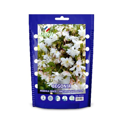 Бегония Ниспадающая белая Pendula White 6/+, Darit Дой-пак, 2шт