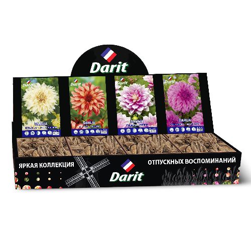 Шоубокс 203 ГЕОРГИНА Darit, 4 вида по 7 шт