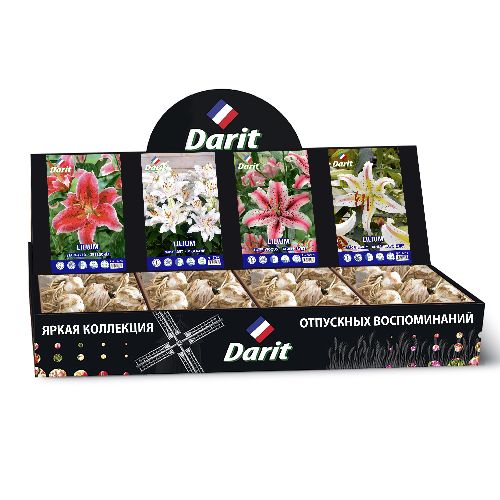 Шоубокс 240 ЛИЛИИ Darit, 4 вида по 20 шт 