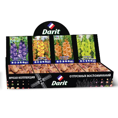 Шоубокс 215 ГЛАДИОЛУСЫ Darit, 4 вида по 20 шт