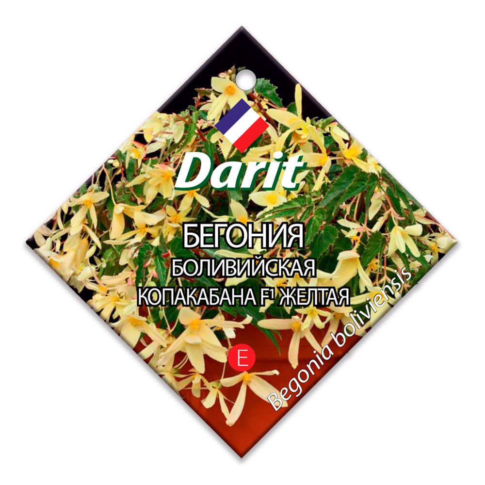 Бегония боливийская Копакабана F1 желтая, семена Дарит 7шт (100)