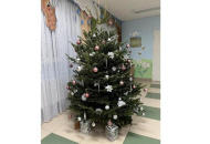 Дарить цветы на Новый год —хорошая традиция! Дарить цветы на Новый год —хорошая традиция!