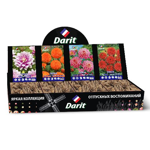 Шоубокс 245 ГЕОРГИНА Darit, 4 вида по 7 шт