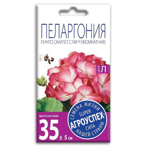 Пеларгония Пинто Скарлет Стар F1, семена Агроуспех 4шт (500)