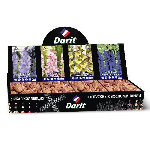 Шоубокс 253 ГЛАДИОЛУСЫ Darit, 4 вида по 35 шт
