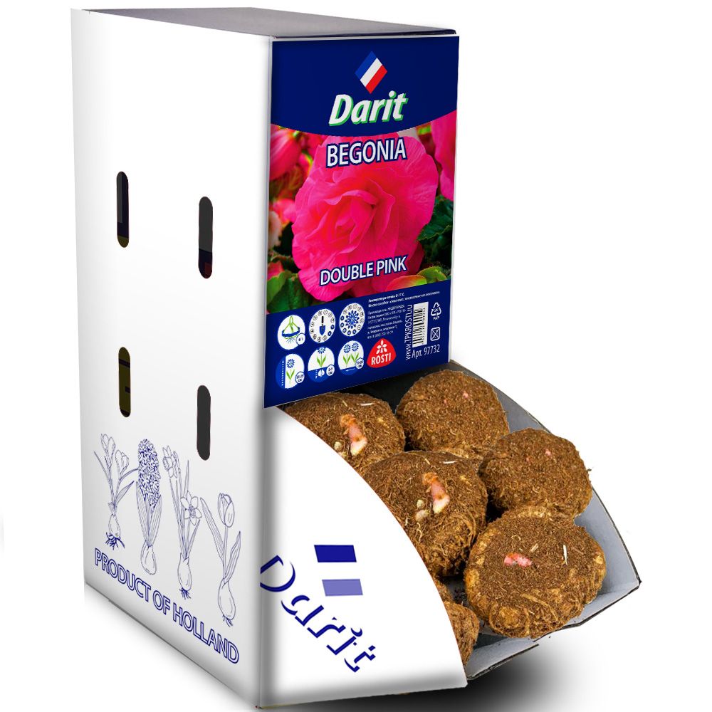 Бегония Махровая розовая Begonia Double Pink 6/+, Darit Рекбокс 35шт