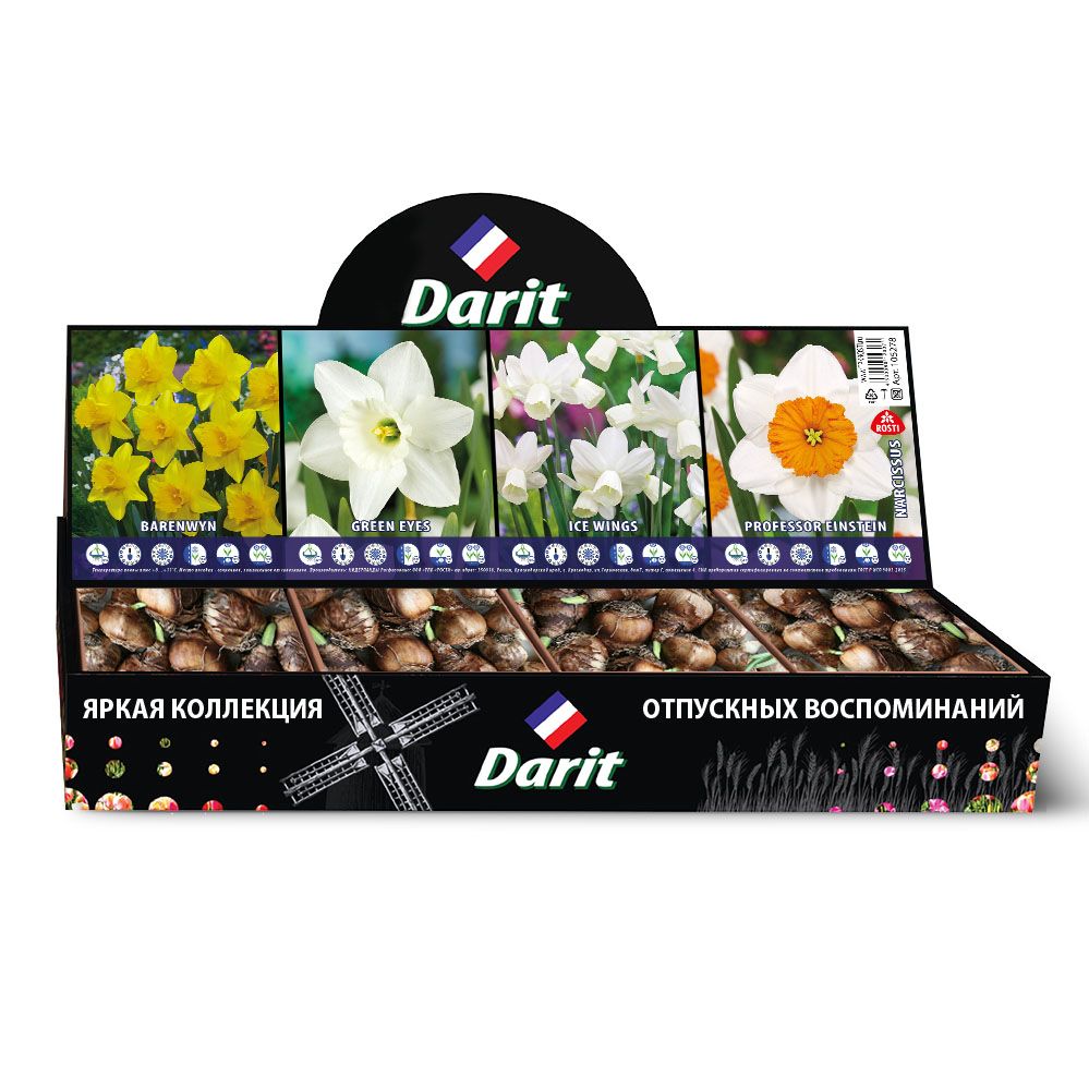 Шоубокс 76 НАРЦИССЫ Ботанические ПАРК БЬЮТ, Darit, 4 вида по 35 шт