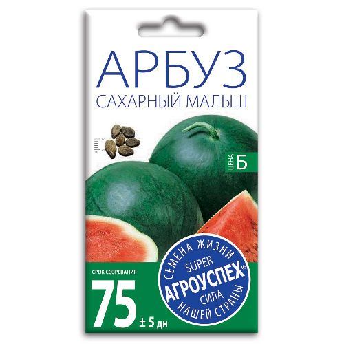 Арбуз Сахарный малыш, семена Агроуспех 1г (250)