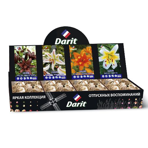 Шоубокс 188 ЛИЛИИ Darit, 4 вида по 20 шт 