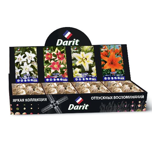 Шоубокс 208 ЛИЛИИ Darit, 4 вида по 20 шт 