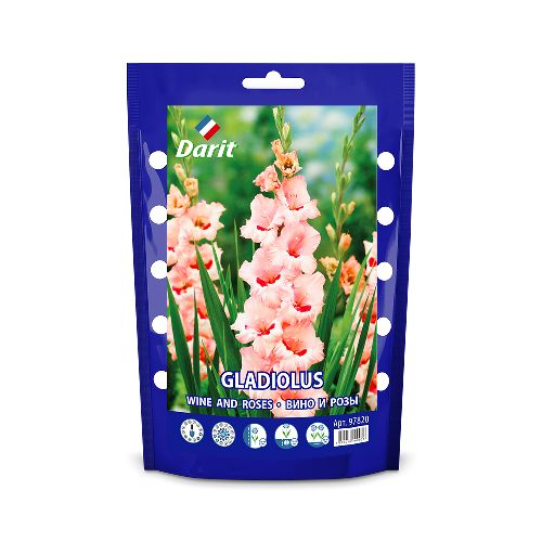 Гладиолус Вино и розы Gladiolus Gladiolus Wine and Roses 12/14, Darit, 7шт