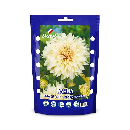 Георгина Кафе о Лейт Dahlia Cafe au Lait, Darit дой-пак, 1шт