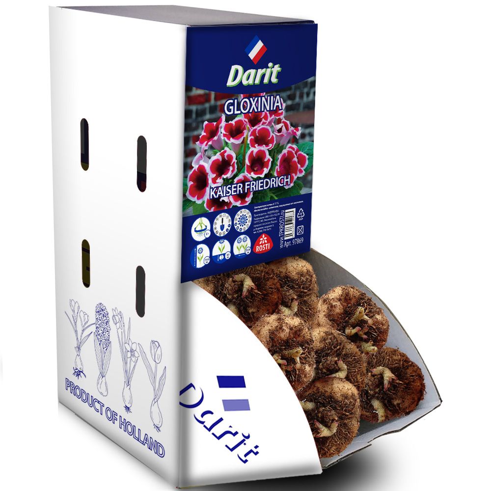 Глоксиния Кайзер Фридрих Gloxinia Kaiser Friedrich 5/+, Darit Рекбокс 50шт