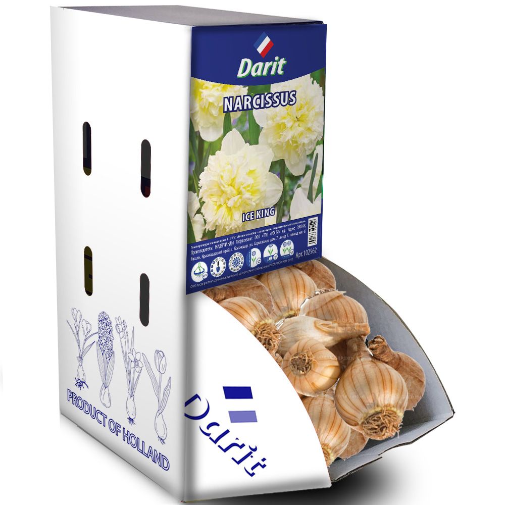 Нарцисс махровый Ледовый король Narcissus Ice King 12-14 Darit Рекбокс 50 шт