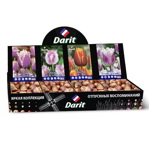 Шоубокс 219 ТЮЛЬПАНЫ Darit, 4 вида по 50 шт