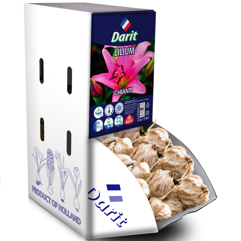 Лилия Кьянти Lilium Chianti 14/+, Darit Рекбокс 25шт