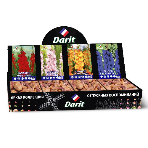 Шоубокс 252 ГЛАДИОЛУСЫ Darit, 4 вида по 35 шт