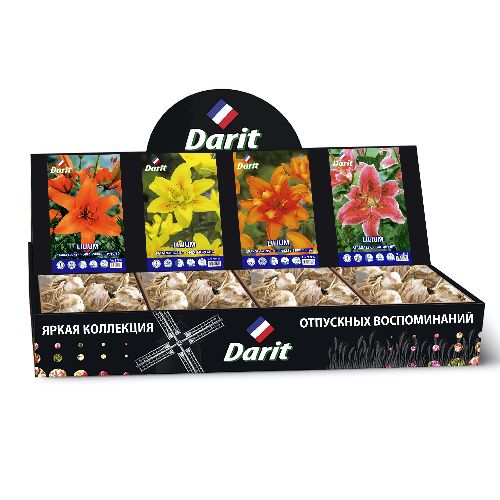 Шоубокс 237 ЛИЛИИ Darit, 4 вида по 20 шт 