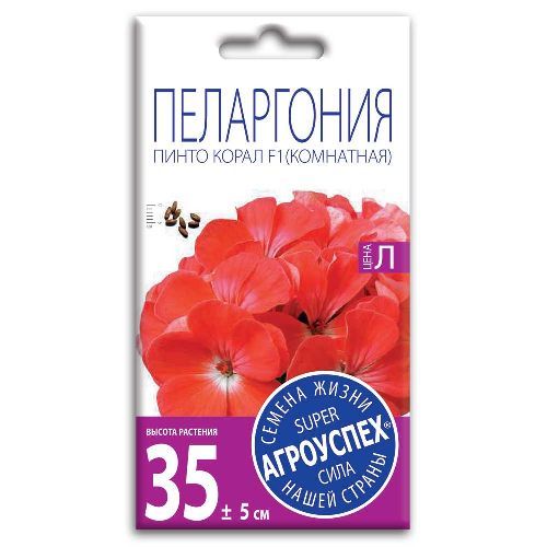 Пеларгония Пинто Корал F1, семена Агроуспех 4шт (500)