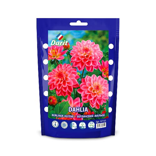 Георгина Берлинский малыш Dahlia Berliner Kleene, Darit дой-пак, 1шт