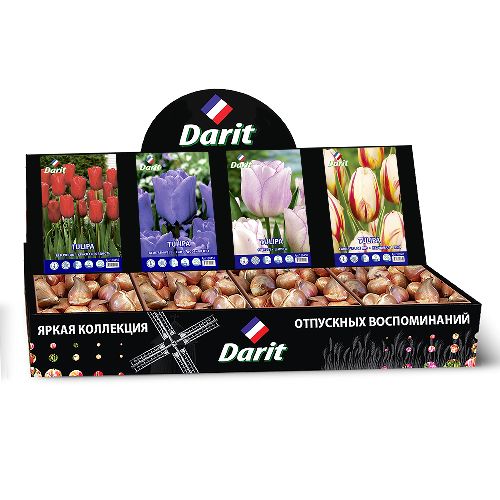 Шоубокс 217 ТЮЛЬПАНЫ Darit, 4 вида по 50 шт