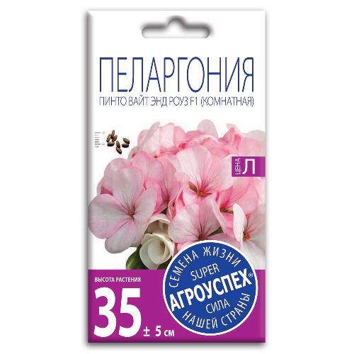 Пеларгония Пинто Вайт энд Роуз F1, семена Агроуспех 4шт (500)