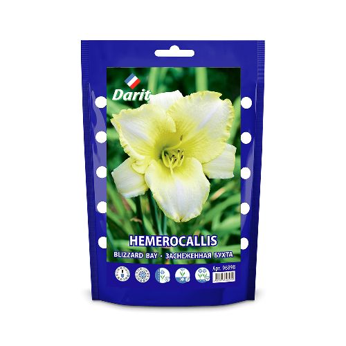 Лилейник Заснеженная бухта Hemerocallis Blizzard Bay, Darit Дой-пак , I 1шт