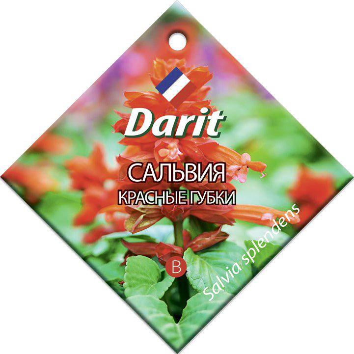 Сальвия Красные губки, семена Дарит 0,1г (400)