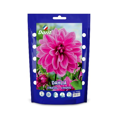 Георгина Стратос Dahlia Stratos, Darit Крафтпакет, 1шт