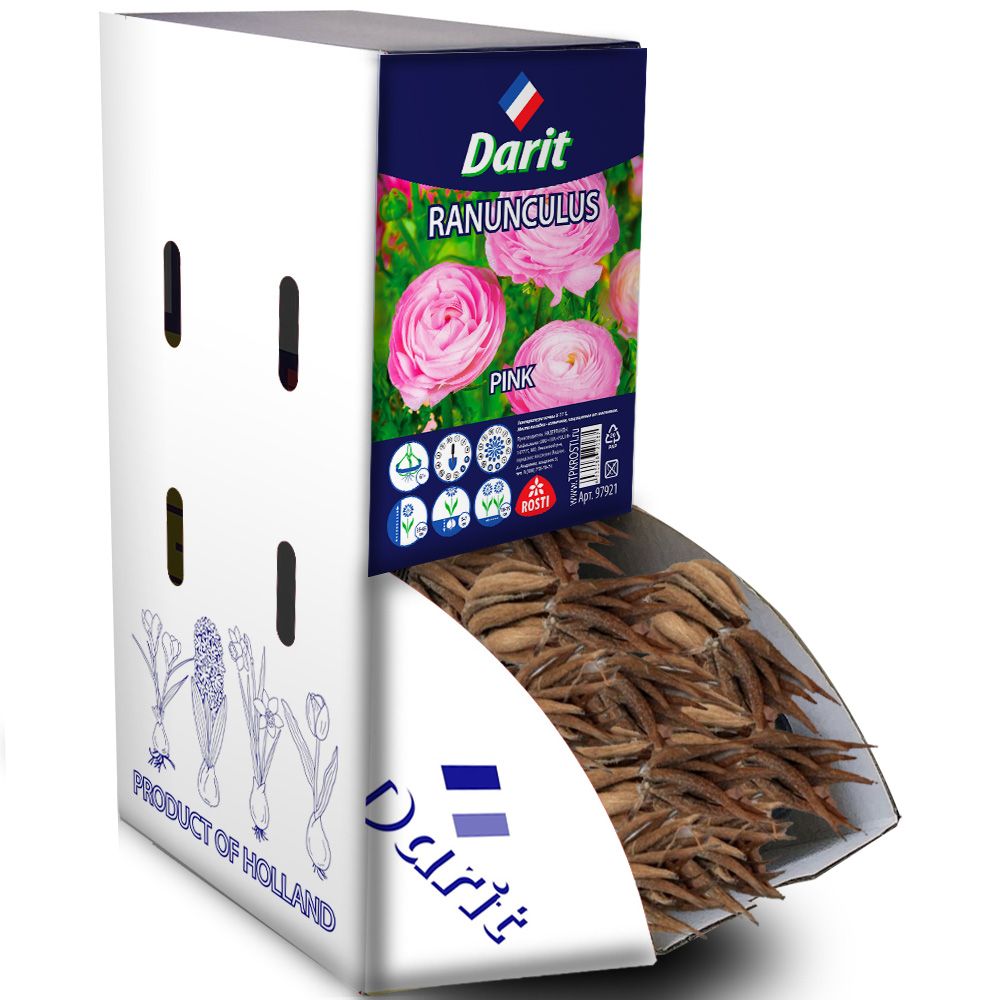Лютик (Ранункулюс) Авив розовый Ranunculus Aviv Pink 6/+, Darit Рекбокс 200шт