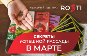 Рассадный март: секреты успеха для каждого – от новичка до гуру!