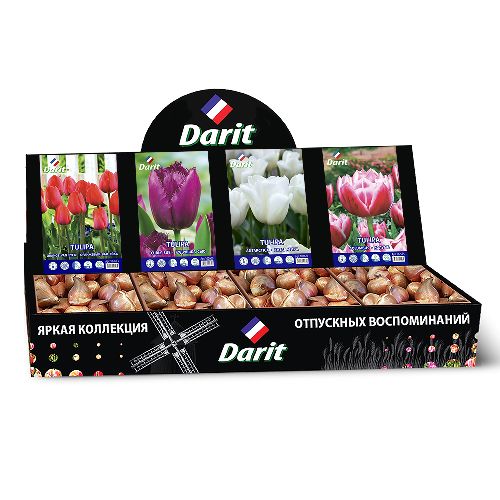 Шоубокс 234 ТЮЛЬПАНЫ Darit, 4 вида по 50 шт