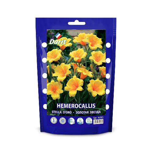Лилейник Золотая звезда Hemerocallis Stella d'Oro, Darit Дой-пак , I 1шт