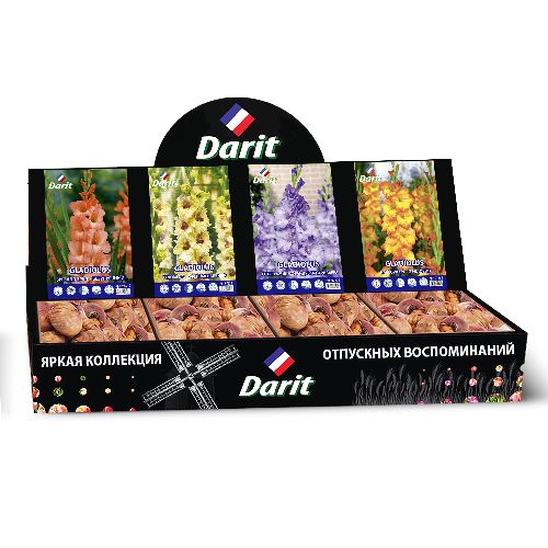 Шоубокс 216 ГЛАДИОЛУСЫ Darit, 4 вида по 20 шт