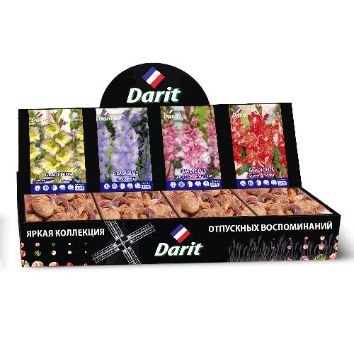 Шоубокс 213 ГЛАДИОЛУСЫ Darit, 4 вида по 35 шт