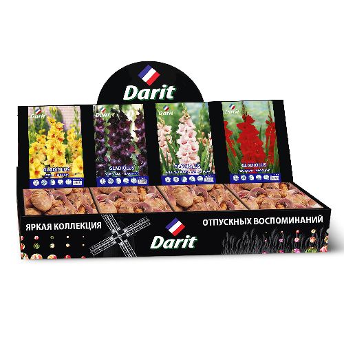Шоубокс 249 ГЛАДИОЛУСЫ Darit, 4 вида по 35 шт