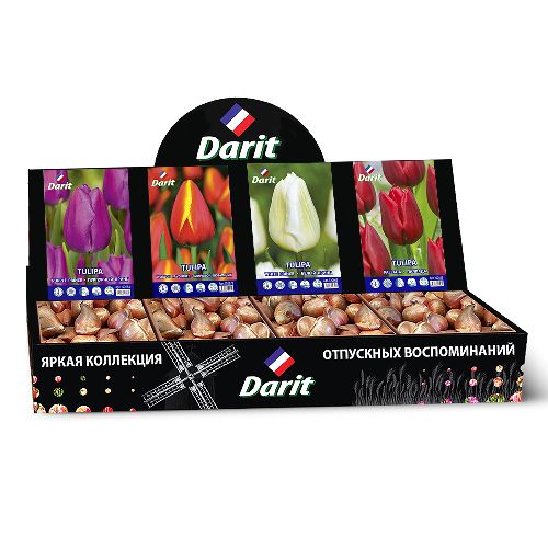 Шоубокс 235 ТЮЛЬПАНЫ Darit, 4 вида по 50 шт