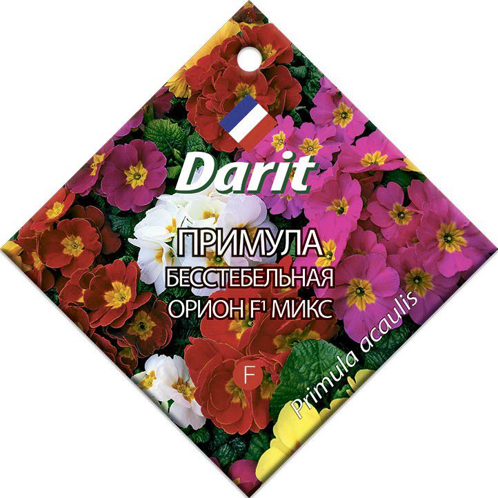 Примула Орион Микс F1, семена Дарит 7шт