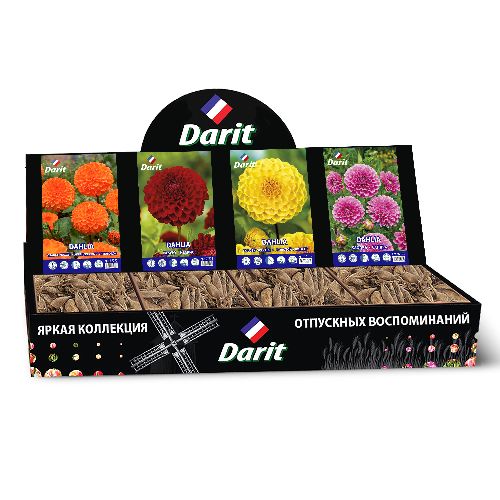 Шоубокс 244 ГЕОРГИНА Darit, 4 вида по 7 шт