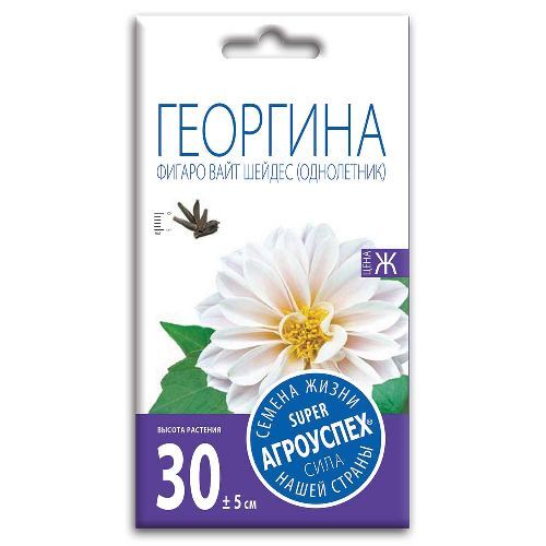 Георгина Фигаро Вайт Шейдес, семена Агроуспех 7шт (400)